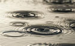 User Profile: Raindrops00