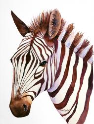 User Profile: ZebraGirl13