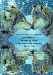 User Profile: LunaLittleWolf