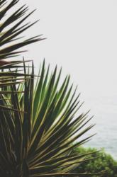 User Profile: feelingbluex