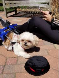User Profile: Animallover33