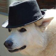 User Profile: generousField6538