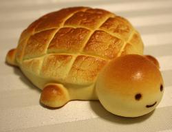 User Profile: CarbTurtle