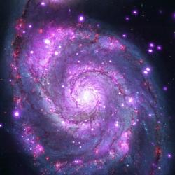 User Profile: spiralgalaxyegg