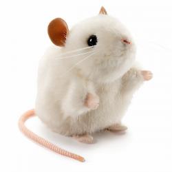 User Profile: JackMouse