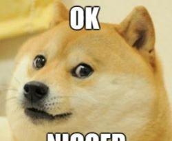 User Profile: NoSorry