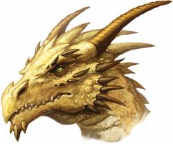 User Profile: AviaKayZarephusOfDragons