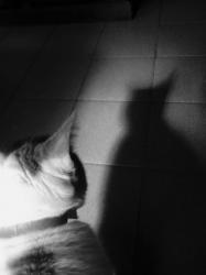 User Profile: littleAvocado1997