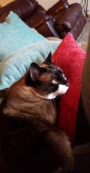 User Profile: mlove23