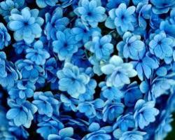 User Profile: brightBranch3657