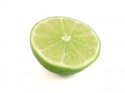 User Profile: selfdisciplinedLime7962