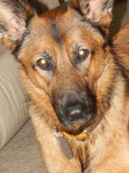User Profile: Penelope1963