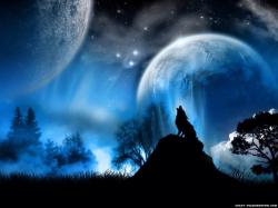 User Profile: MaskedWolf