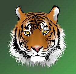 User Profile: BurningBright
