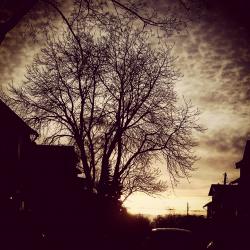 User Profile: bbcstarlight2y