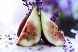 User Profile: lavenderFig9615