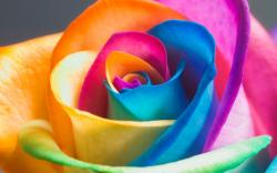User Profile: SadAmy85