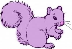 User Profile: PurpleSquirrel