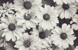 User Profile: philosophicalLily1211