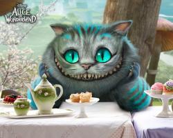 User Profile: theMadCat