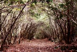 User Profile: toughHemlock3601