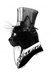 User Profile: UnambitiousKitten