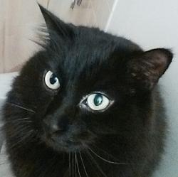 User Profile: waffles1