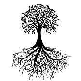 User Profile: LovelyTree