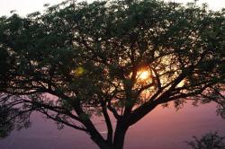 User Profile: Compassionateheart86