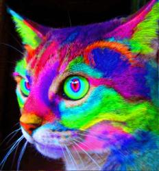 User Profile: independentOwl770