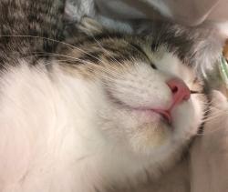 User Profile: awktawko