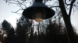 User Profile: aBee420
