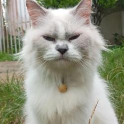 User Profile: floatingdandelion