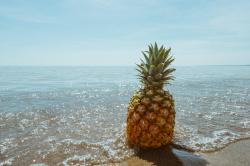 User Profile: PineappleDontCare