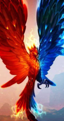 User Profile: KaskaraKate