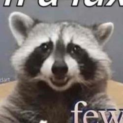 User Profile: discreetMelon4020