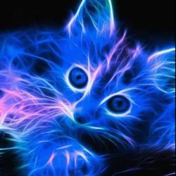 User Profile: MidnightShadowCat