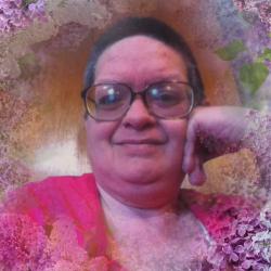 User Profile: Nettie3797