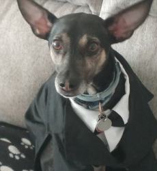 User Profile: Barltik2065