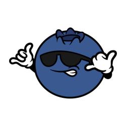 User Profile: brightBlueberry719