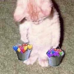 User Profile: Loyalcup142636