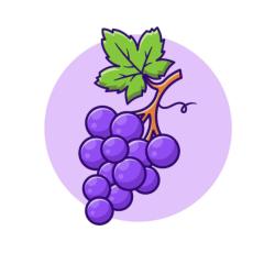 User Profile: friendlygrapes7835