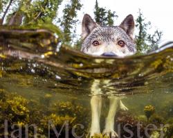 User Profile: riverstreesmountains