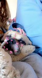 User Profile: kleeluvv