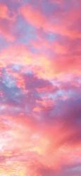 User Profile: supersadkittycat
