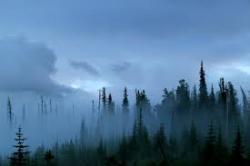 User Profile: tranquilsunset2102