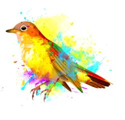 User Profile: Nightingale27
