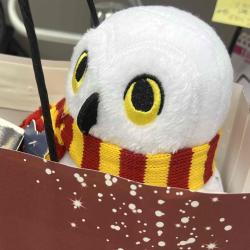 User Profile: nightowlwho