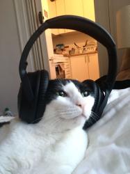 User Profile: cactussflowerr