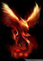 User Profile: PhoenixOnFire123